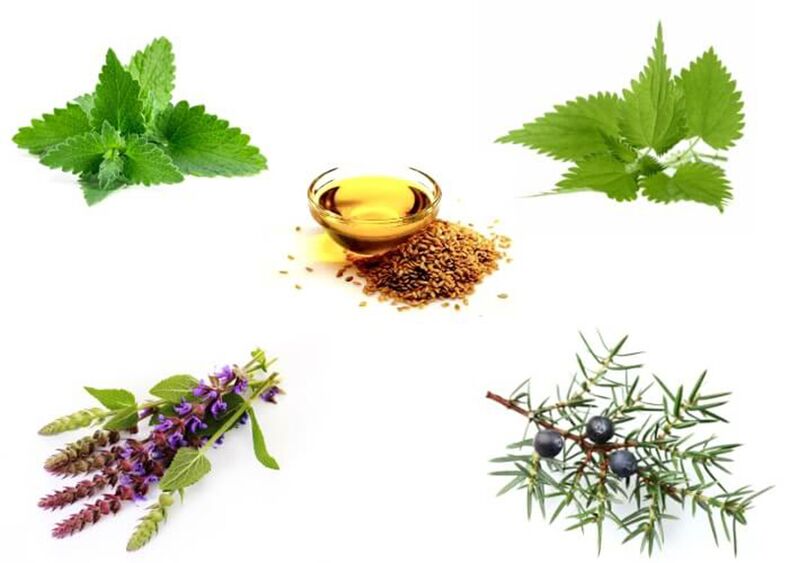 Aceite de semillas de menta, picadura, tomillo, enebro y cáñamo