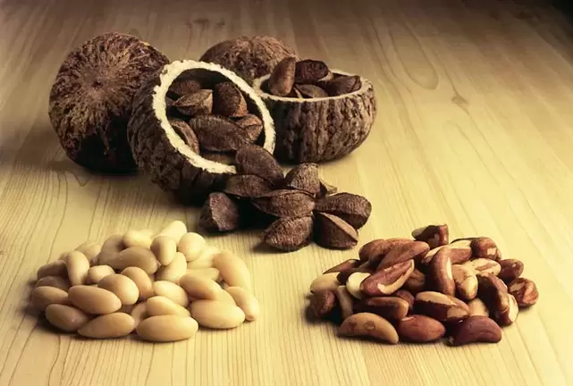 Nueces brasileñas para potencia