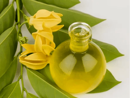 Aromaterapia para aumentar el potencial